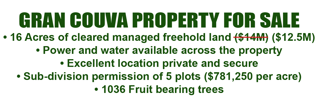 Gran-Couva Property for Sale 16 Acres (6.578Ha) of Free-Hold Land
